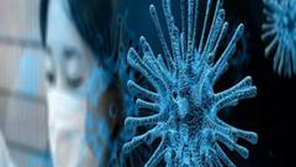 human metapneumovirus human metapneumovirus