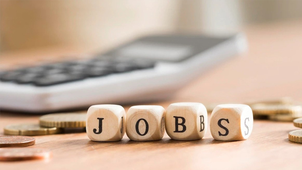 Job News