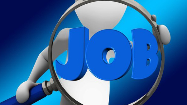 Job News