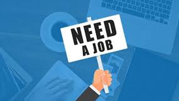 Job News