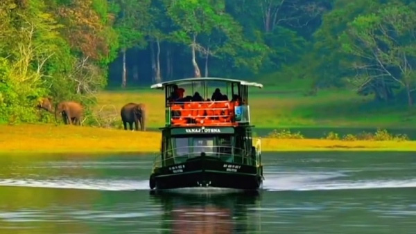 Travel Tips