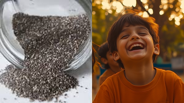 chiamain-1740632238 jpg -Properties