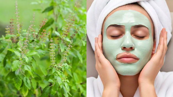 tulsimask
