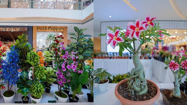 flower-1