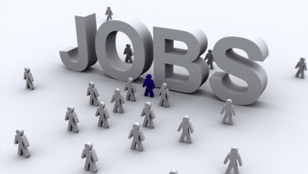 Job News