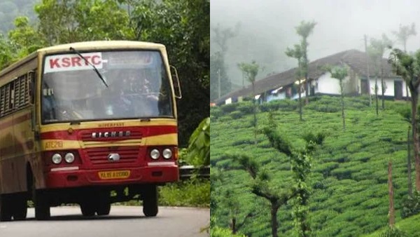 munnar2-17