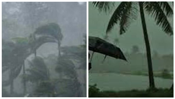 rain