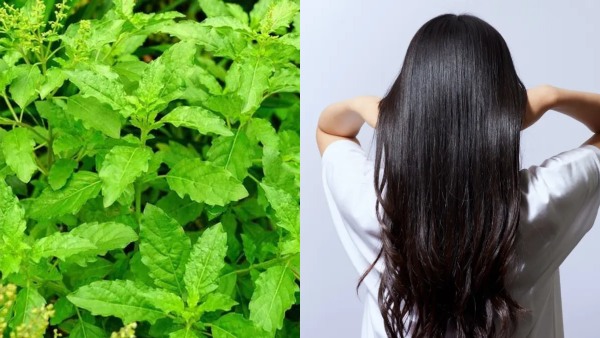 tulsihaircare