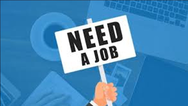 Job News