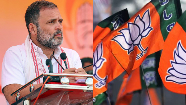 rahulgandhicastesensus
