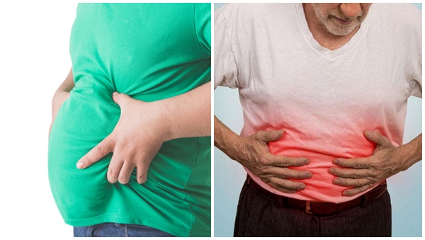 stomach