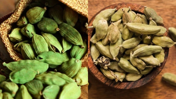 cardamom cardamom