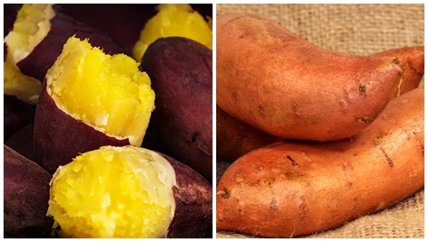 potato