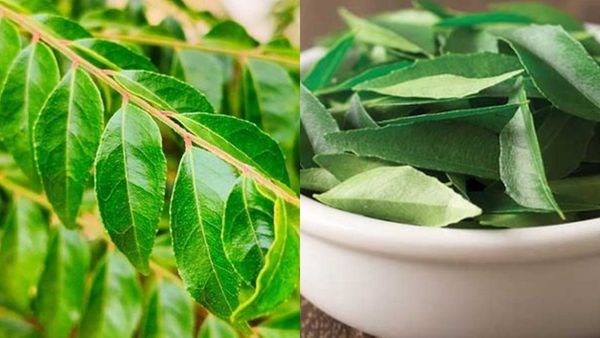 curry leaves
