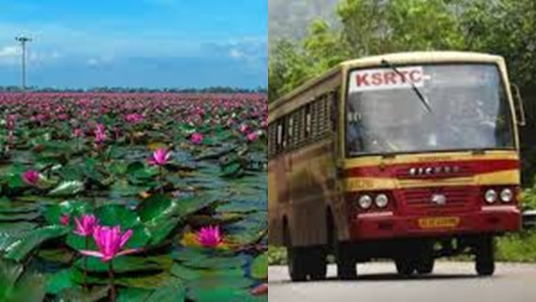 malarikkal malarikkal