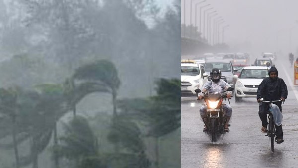 rain
