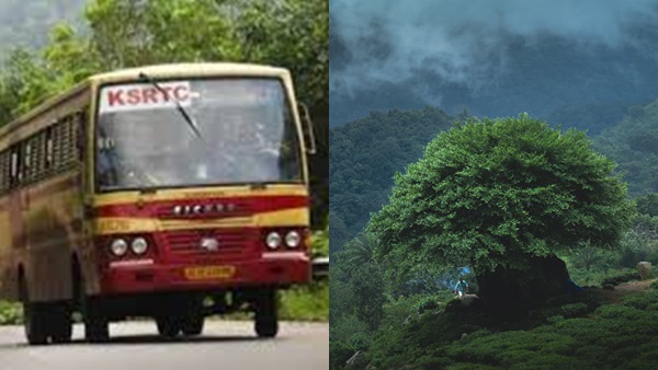 silentvalley silentvalley