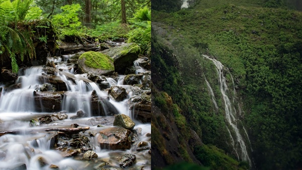 vagamonnew vagamonnew