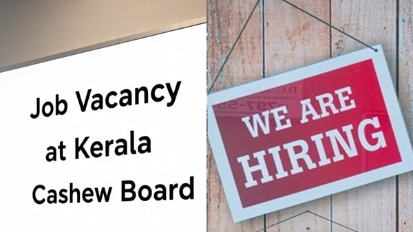 jobnew-1