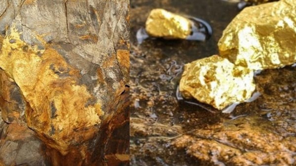 gold-mine
