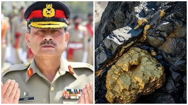 gold mine in pakistan profit- gold mine in pakistan profit-