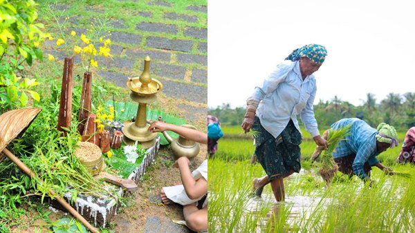 onammaveli2-1 onammaveli2-1