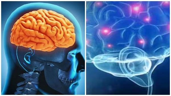 amoebic encephalitis amoebic encephalitis