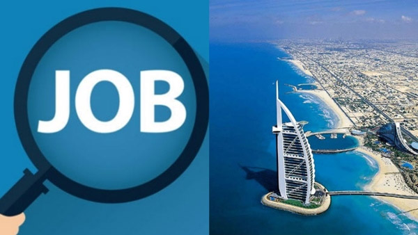 UAE Job