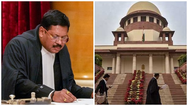 cji brgavai shoe throw- cji brgavai shoe throw-