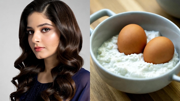 egg