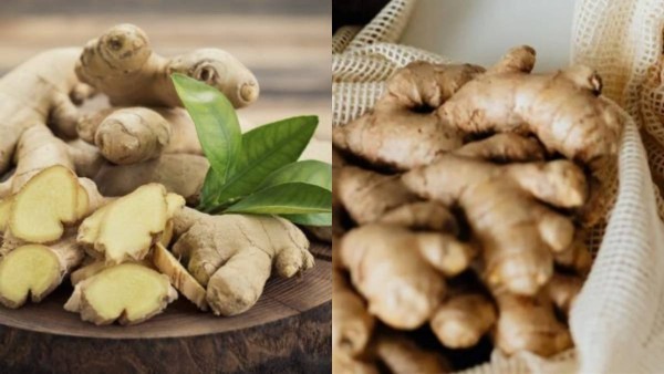 ginger