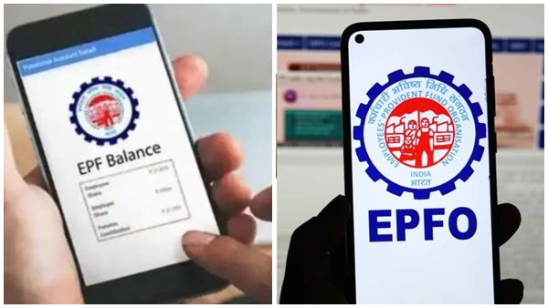 how to check epf balance how to check epf balance