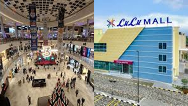 luluma2- luluma2-