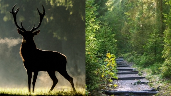 aitamilnadu aitamilnadu