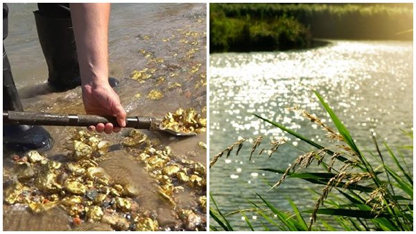 gold in nilambur river gold in nilambur river