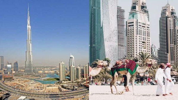 uaeruleslatest uaeruleslatest