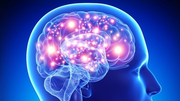 brain-1768274377 jpg