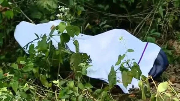 kill-1768563500 jpg kill-1768563500 jpg