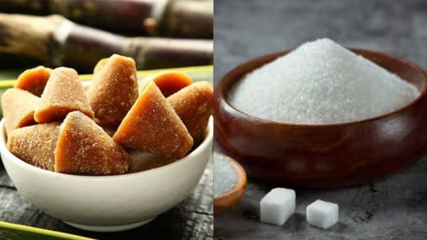 sugar