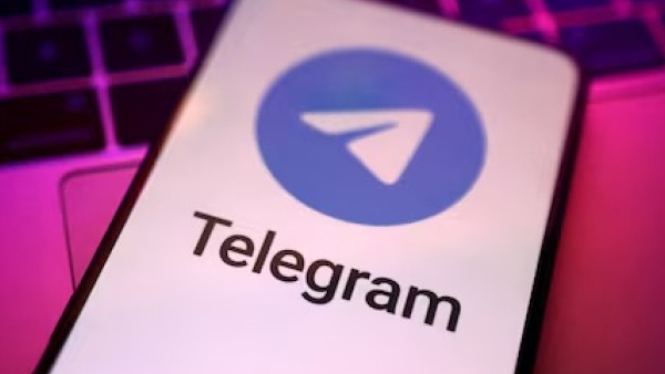 wingo-app-telegram-1769846084 jpg