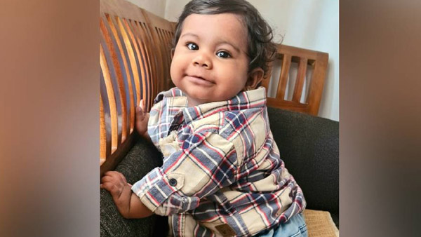 Organ Donation Organ Donation