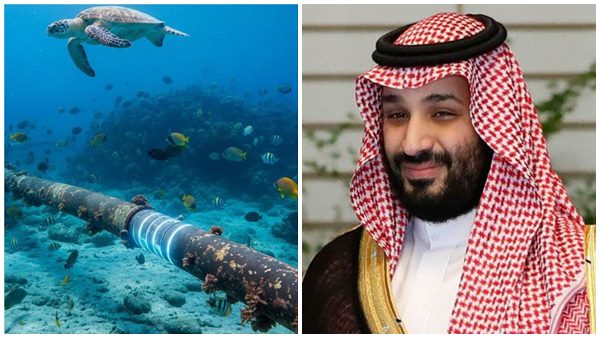 saudi arabia investment in syria saudi arabia investment in syria