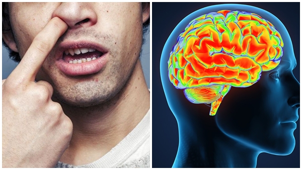 alzheimers-disease-risk-1773763729 jpg alzheimers-disease-risk-1773763729 jpg