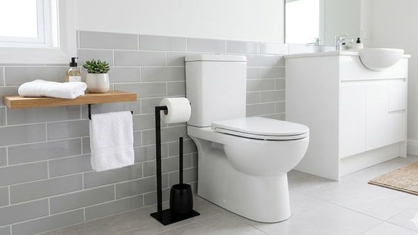 Toilet Cleaning Tips