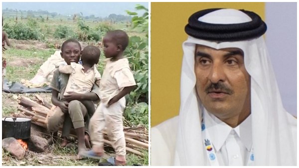 afghan living in qatar to move congo-