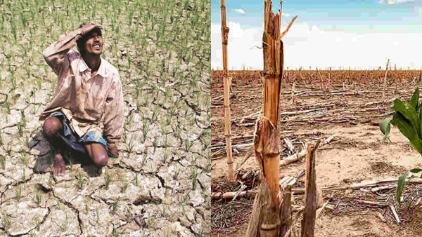 india-faces-heatwave-1777354114 jpg india-faces-heatwave-1777354114 jpg