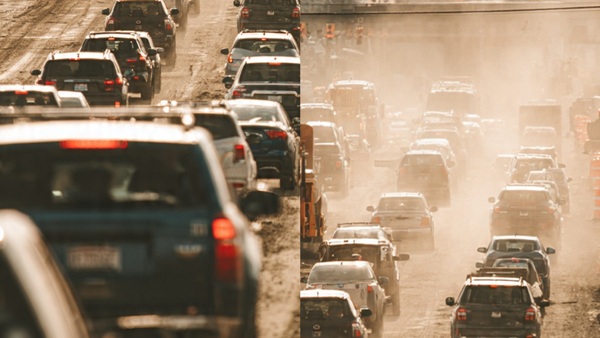 repimage2-1 repimage2-1