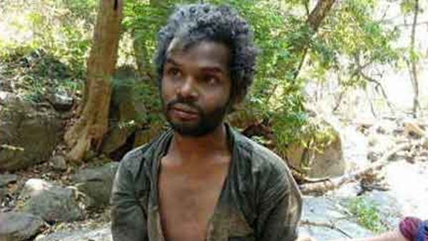 attappadi madhu case kerala hc verdict