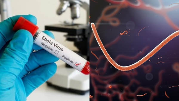 ebola-virus-1779626067 jpg ebola-virus-1779626067 jpg