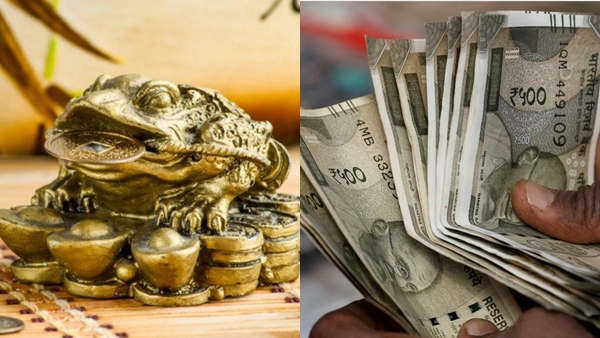 money-frog-1779770010 jpg